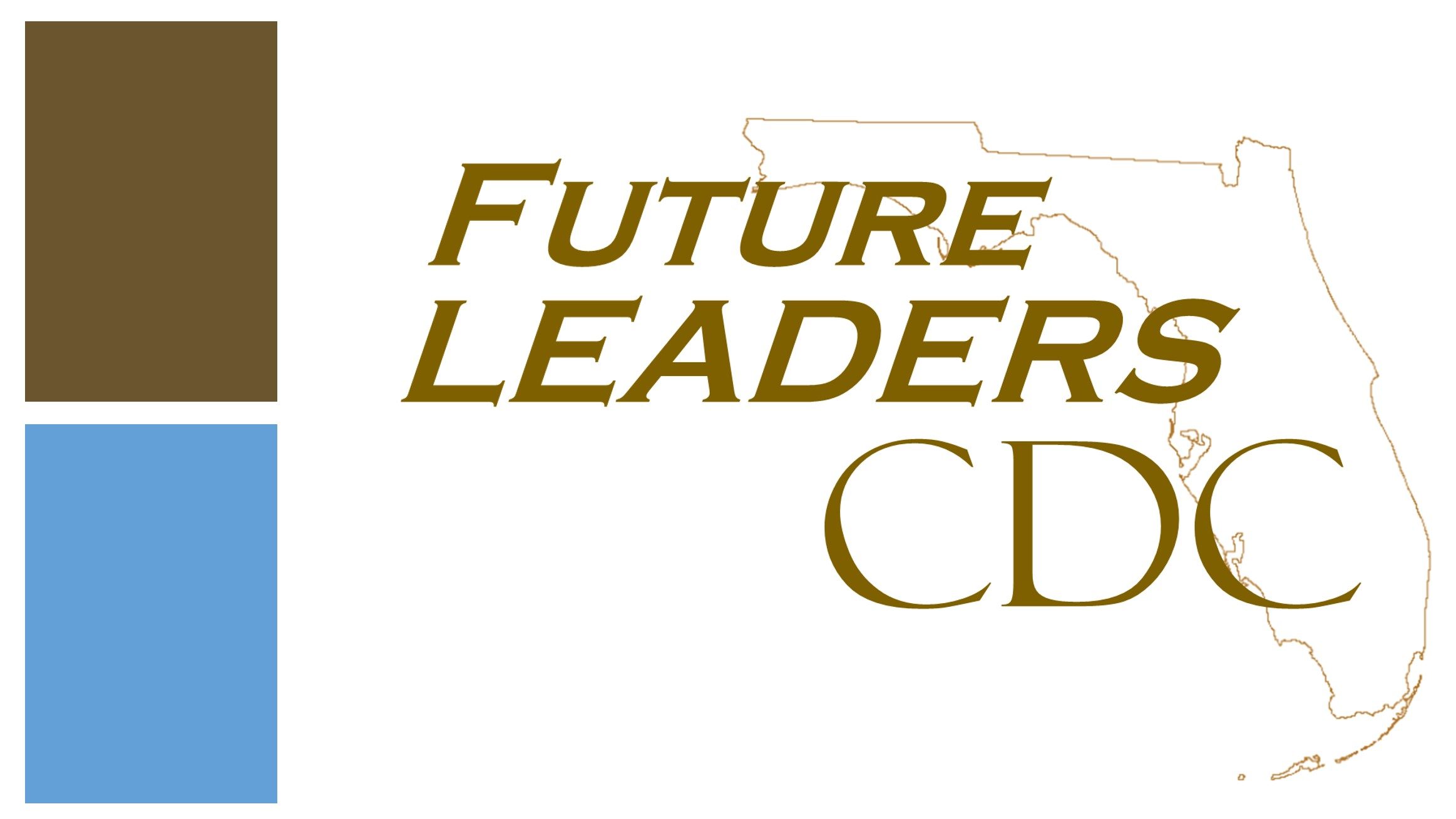 Logo for Future Leaders Community Development Corporation